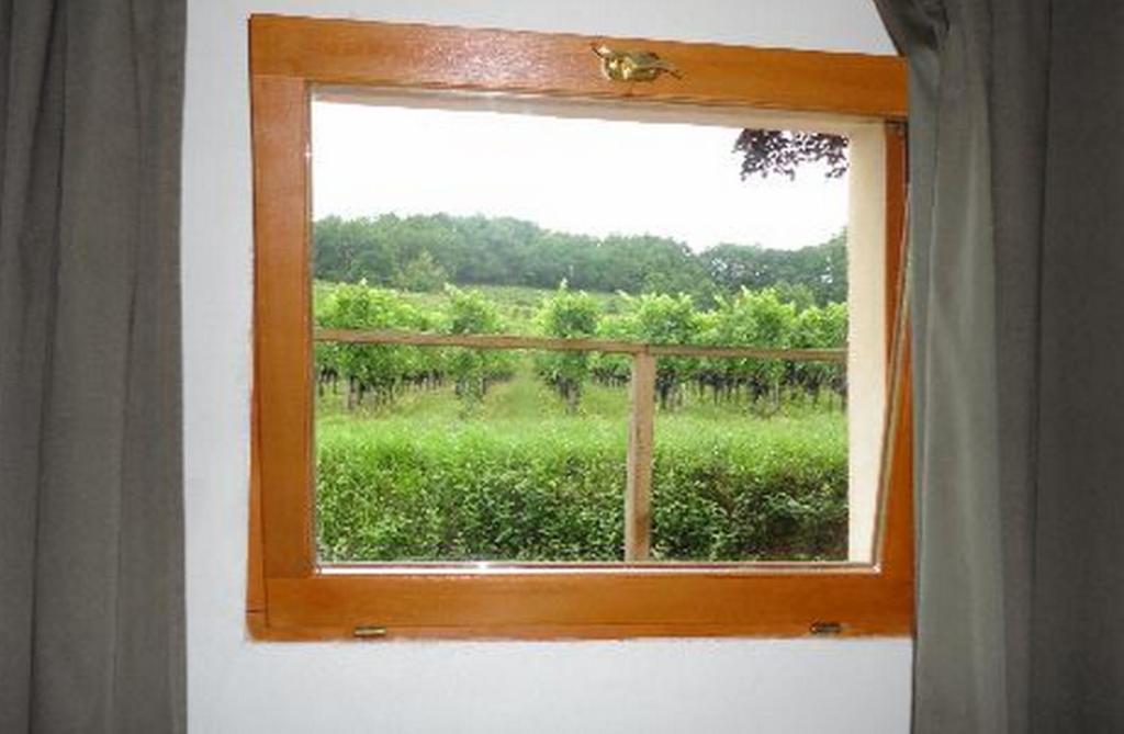 La Petite Madeleine Otel Castillon-la-Bataille Oda fotoğraf