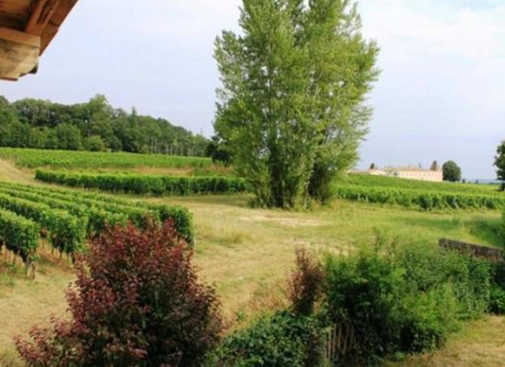 La Petite Madeleine Otel Castillon-la-Bataille Dış mekan fotoğraf