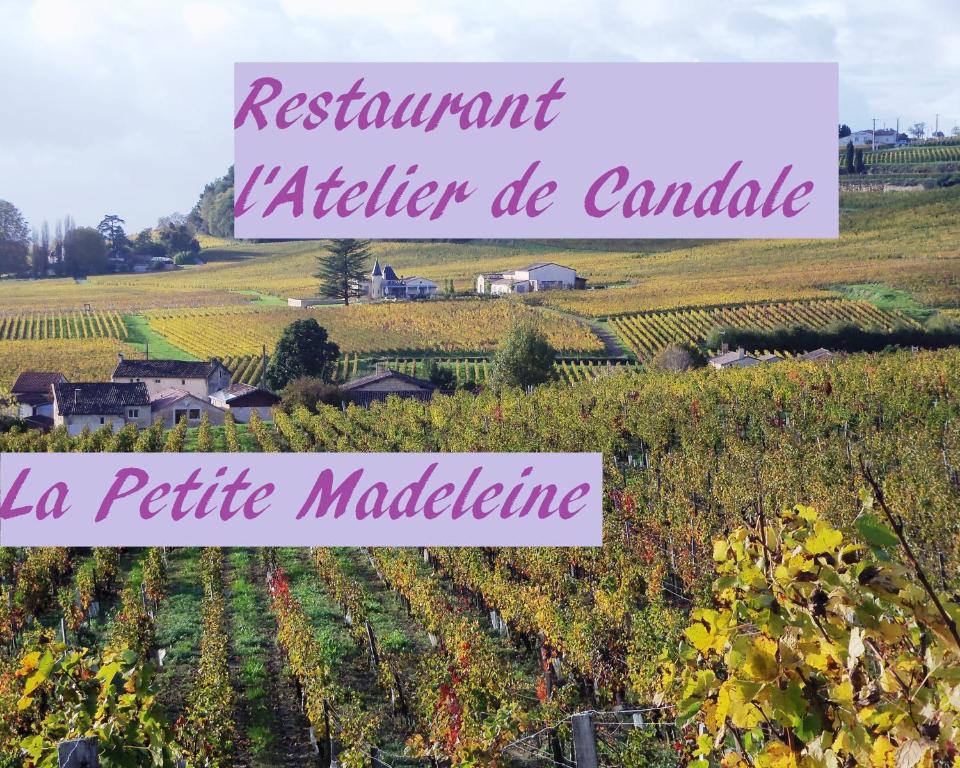 La Petite Madeleine Otel Castillon-la-Bataille Dış mekan fotoğraf